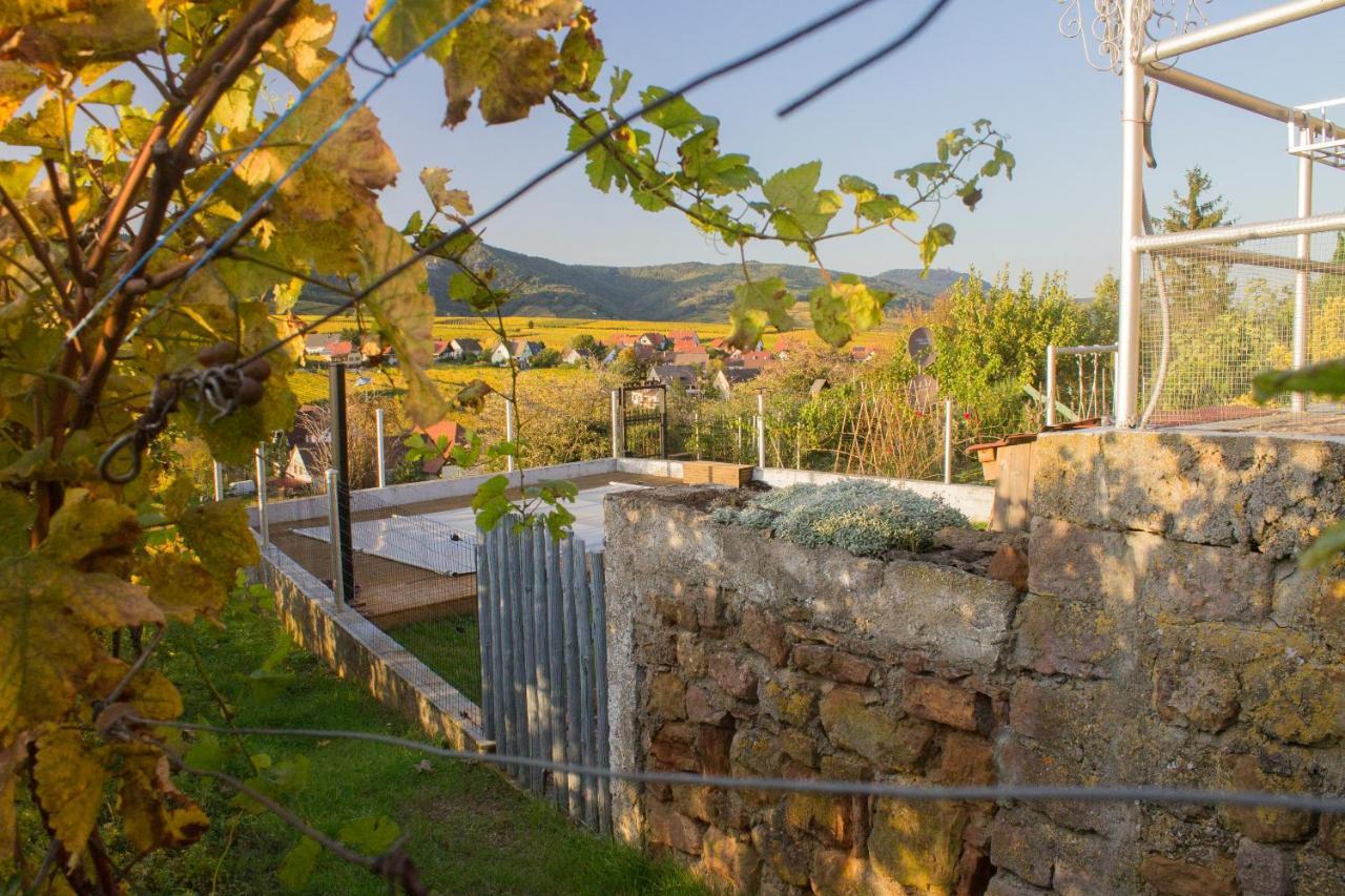 הוילה זלנברג Le Zell מראה חיצוני תמונה